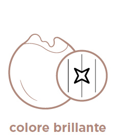 Colore brillante